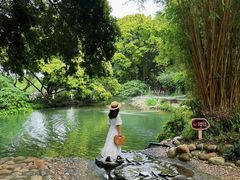 -成都市活水公园