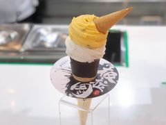 -极拉图·现制冰淇淋(大卫城店)
