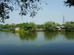 -王借岗森林公园