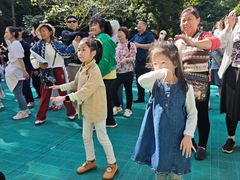 -西双版纳原始森林公园