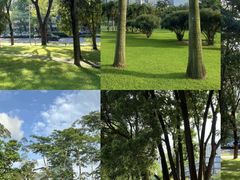 -莲花山公园