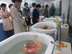 宝宝在游泳-上海市嘉定区妇幼保健院