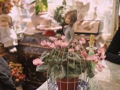 -荒度咖啡(北九水店)