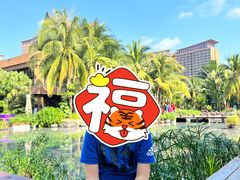 -三亚湾红树林度假世界(木棉酒店)