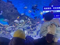-横店影视城梦幻谷园区