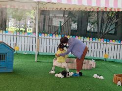 -萌宠亲子动物乐园(槐房万达店)