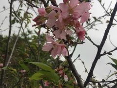 -聚龙山公园