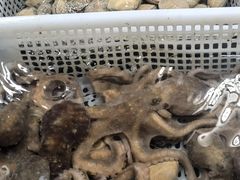 -京贸物联批发市场