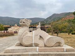 -北京十三陵国家森林公园蟒山景区