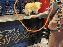 -马旺子酒楼
