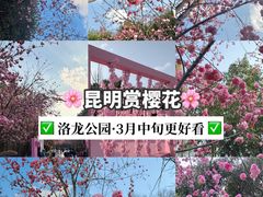 -洛龙公园
