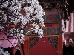 -故宫博物院(故宫)