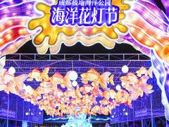 -海合安成都极地海洋公园