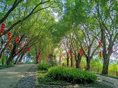 -丰都鬼城名山景区