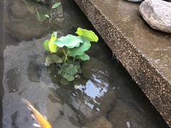 -泉乐坊步行街(烟酒特产平价超市店)