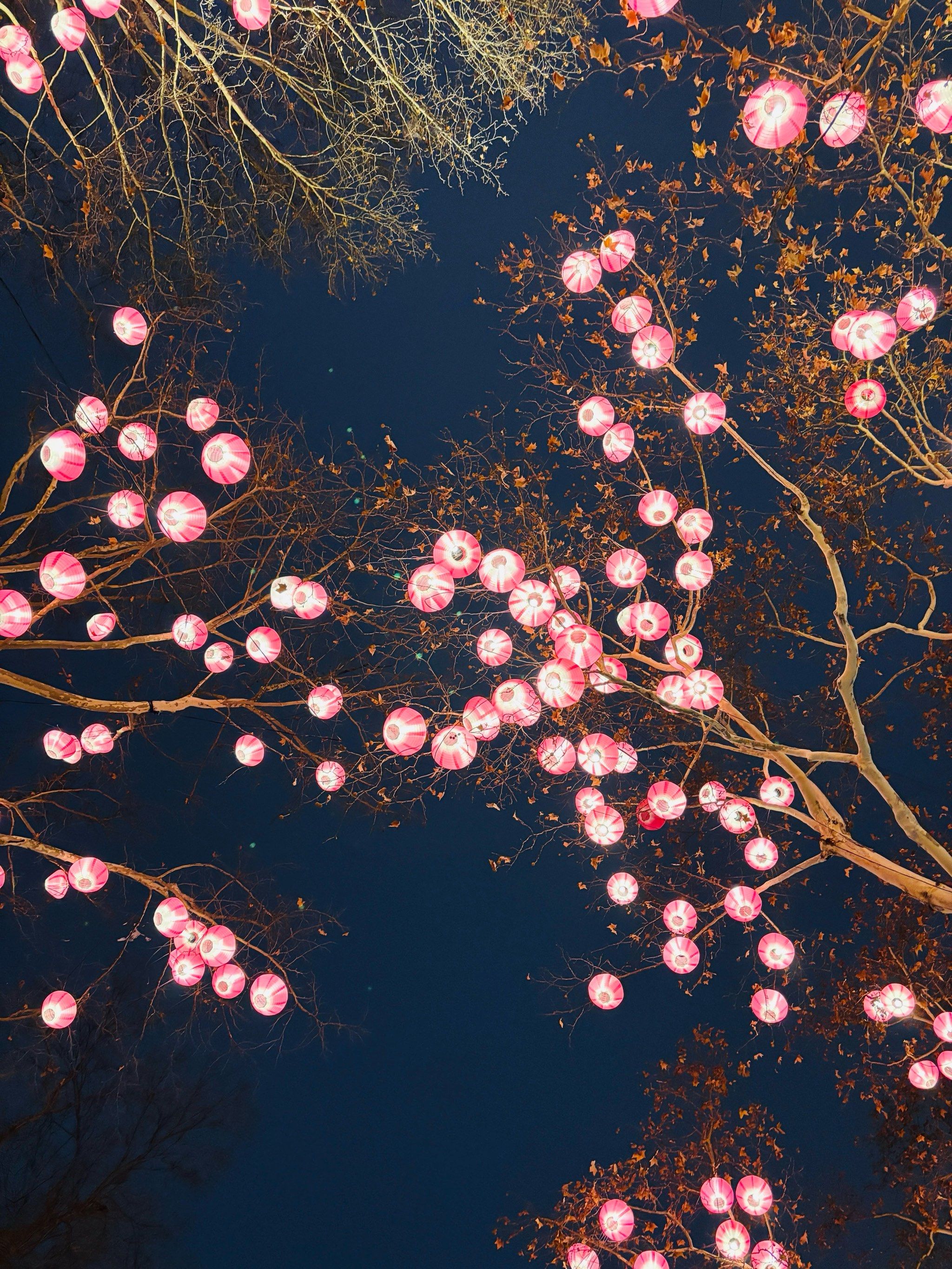 东风夜放花千树