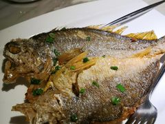 香煎黄花鱼-岭南真味·匠心粤菜(K11店)