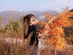 -灵山