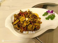 -山菌美食苑(振兴路店)