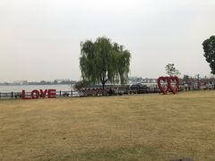 -鹅湖玫瑰文化园