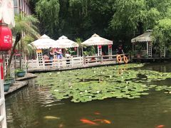 -大鹅岛绿色生态美食园