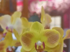 -观盐·盐帮菜(官园桥店)