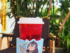 -萃茶师(琅西店)