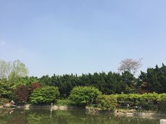 -嘉定紫藤园