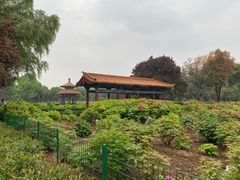 -洛阳国花园
