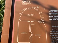 -大岭沟猕猴桃谷风景区