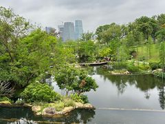 -云溪植物园