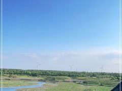 -上海海湾国家森林公园