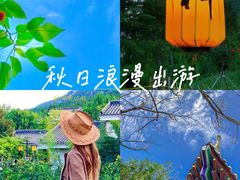 -禅宗少林·音乐大典