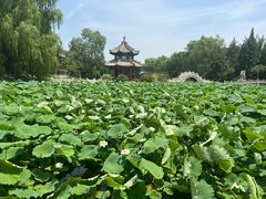 -莲池书院博物馆