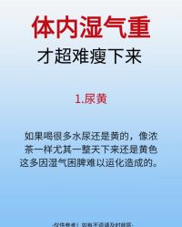 -Fundi张玉珊修身堂·indiba·BTL科技瘦身