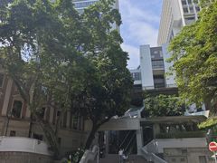 -香港大学