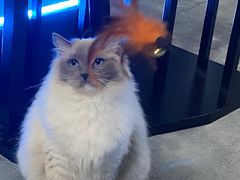 -零纪元VR体验馆·桌游(黄浦店)