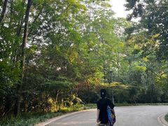 -紫金山山顶公园