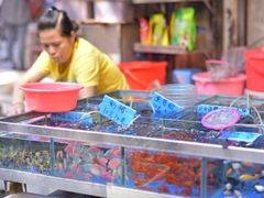 -清平路水族市场
