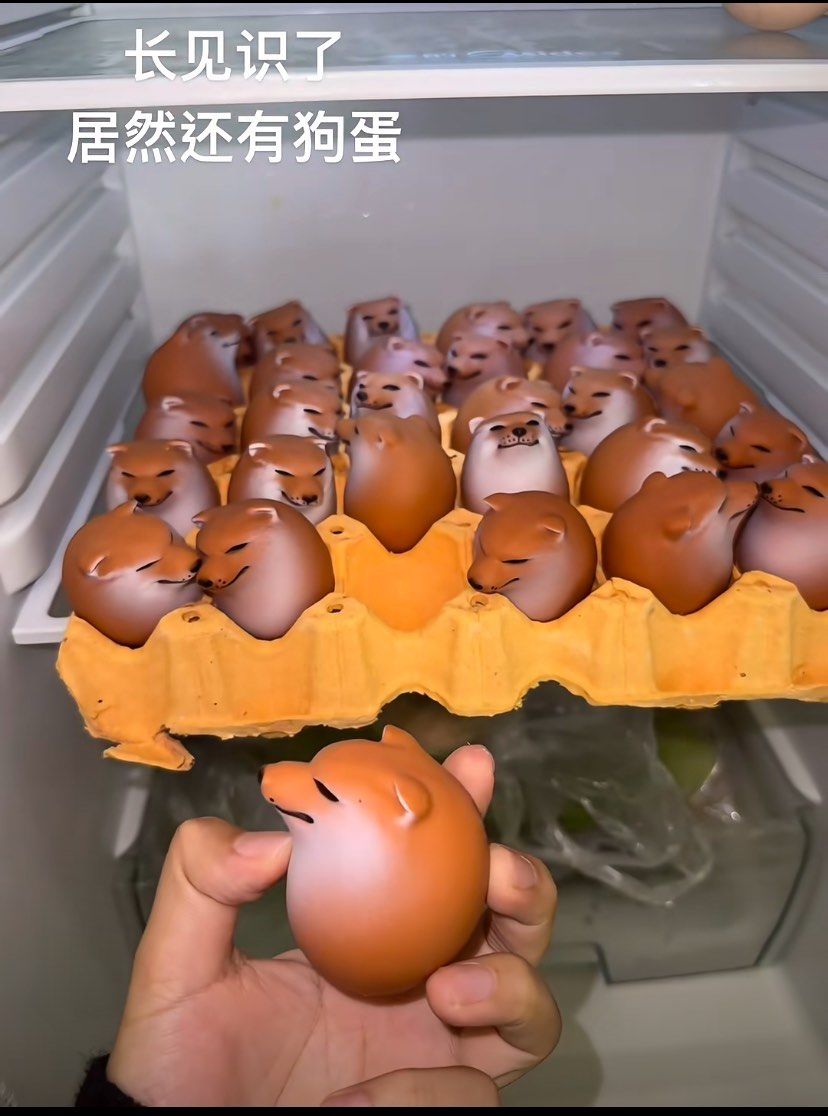 见过狗蛋吗?我有