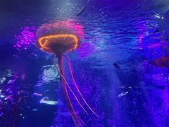 -沈阳海洋探索中心