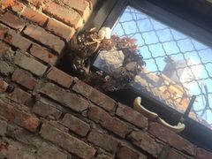 -VOYAGE COFFEE(北锣鼓巷店)