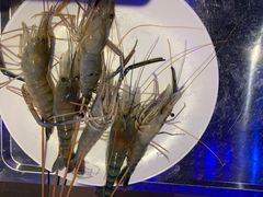 -千岛蚝高压锅生蚝·人参火锅(白云万达店)