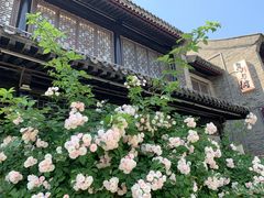 -东昌湖风景区