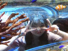 -暹罗海洋世界