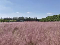 -嘉北郊野公园