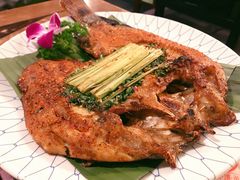 -紫滇源云南生态菜(丹凤街店)