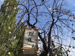 -十亩森林