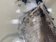 -香山湖渔家大院