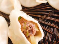 牛肉蒸饺-清真老铁家灌汤包